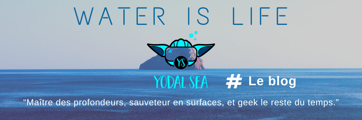    YodalSea